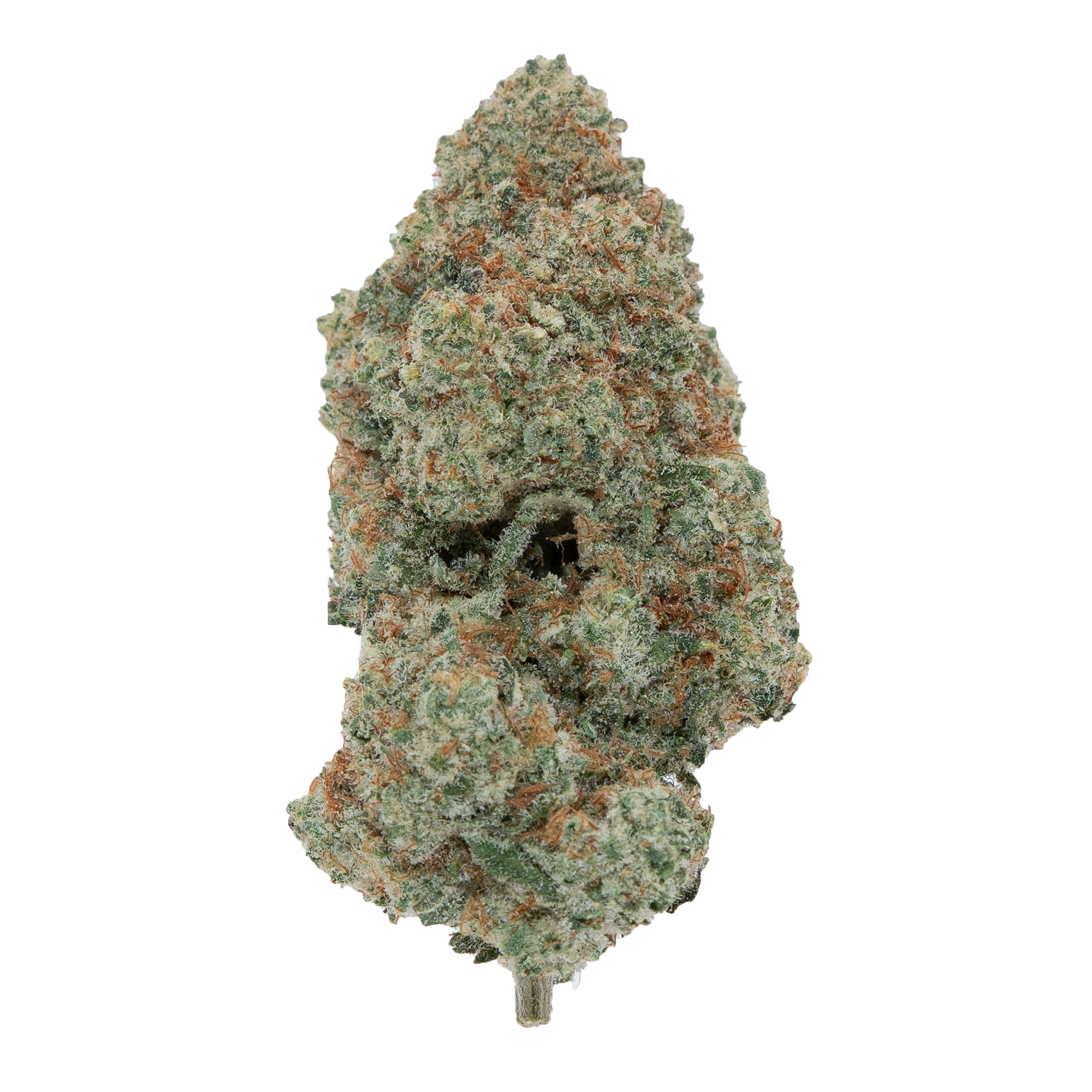 BANANA Z [TOP SHELF] THCA FLOWER