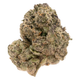 GASTRO POP THCA FLOWER