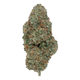 GRAPE Z THCA FLOWER