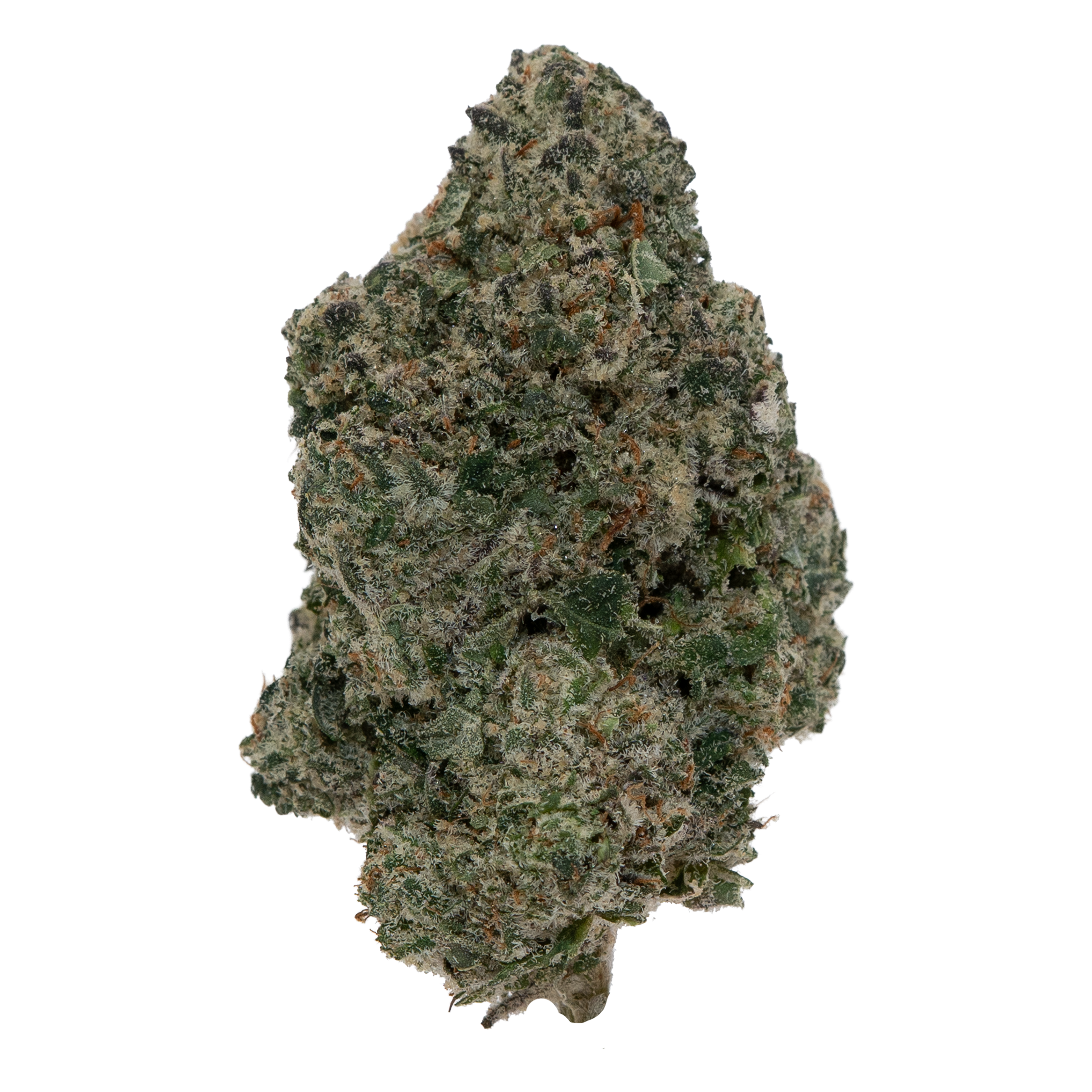 GUMBALL [TOP SHELF] THCA FLOWER