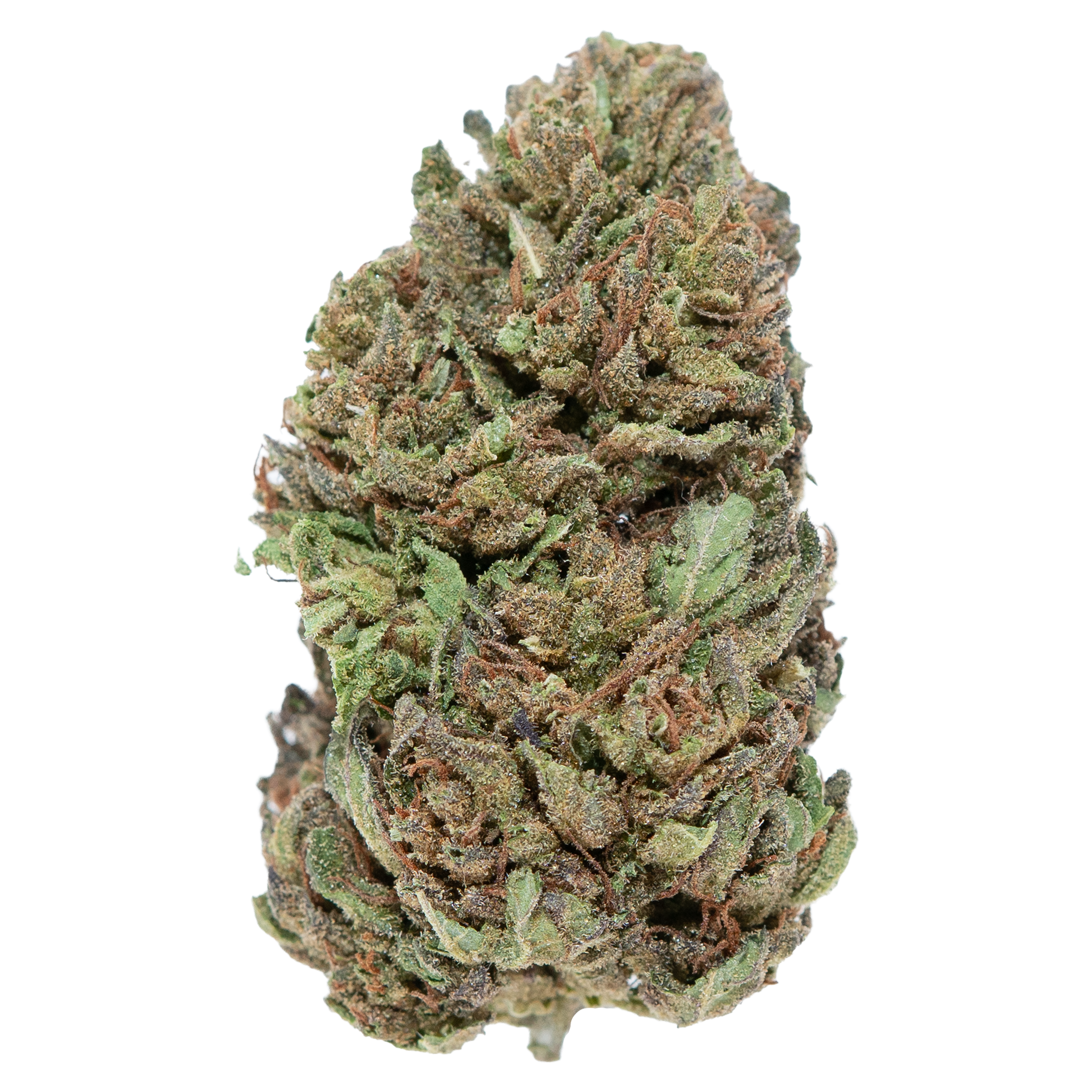 SOUR DOUGH THCA FLOWER