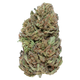 SOUR DOUGH THCA FLOWER