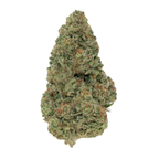 AREA 41 [VALUE] THCA FLOWER (7.0 GRAMS)