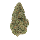 AREA 41 THCA FLOWER