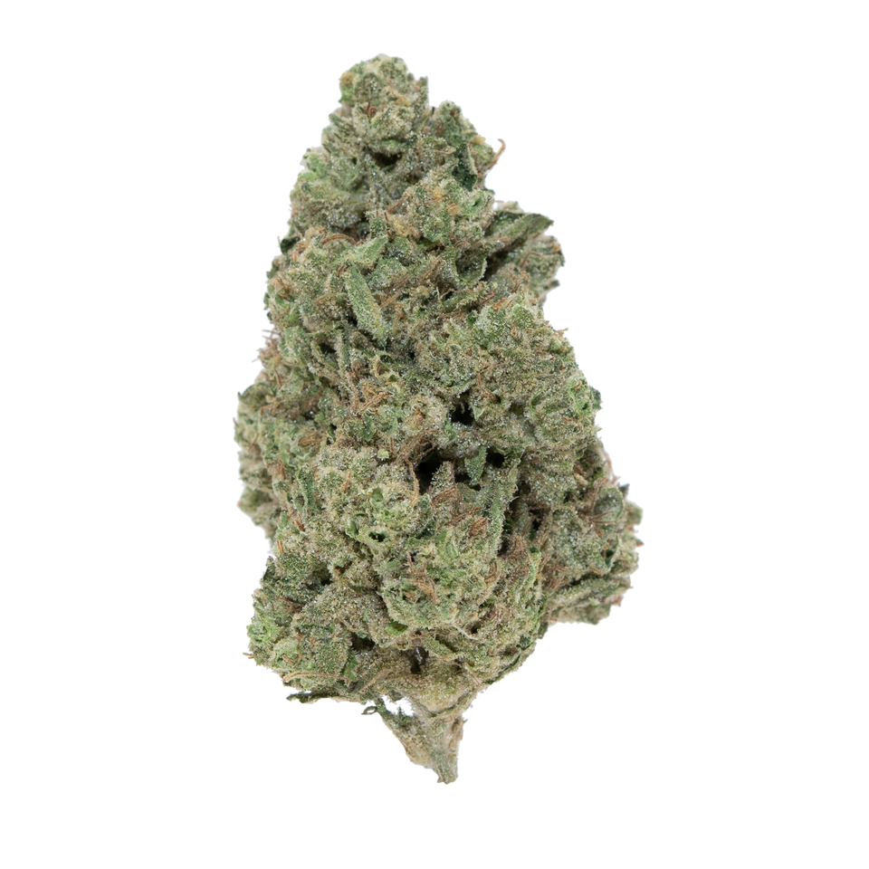 GASANOVA THCA FLOWER
