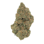 JUNGLE COOKIES [VALUE] THCA FLOWER (7.0 GRAMS)