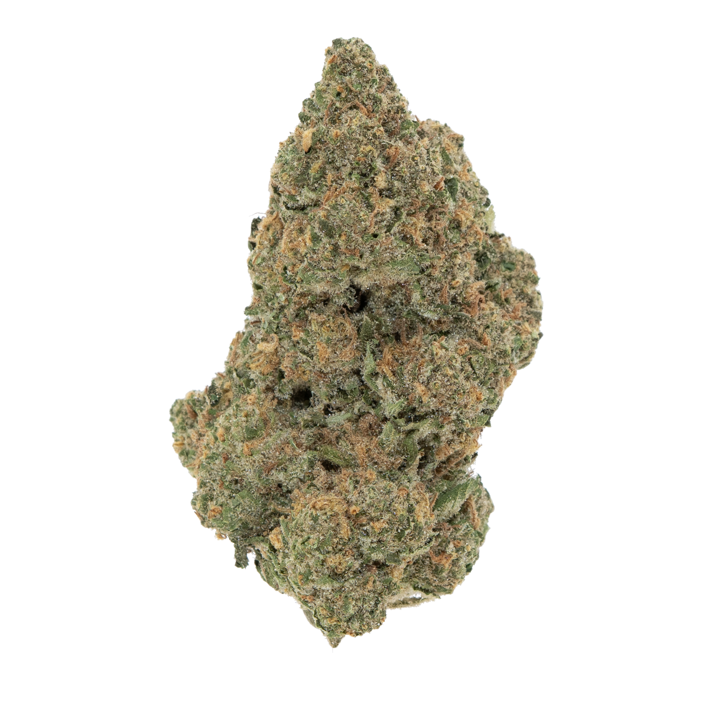 JUNGLE COOKIES [VALUE] THCA FLOWER (7.0 GRAMS)