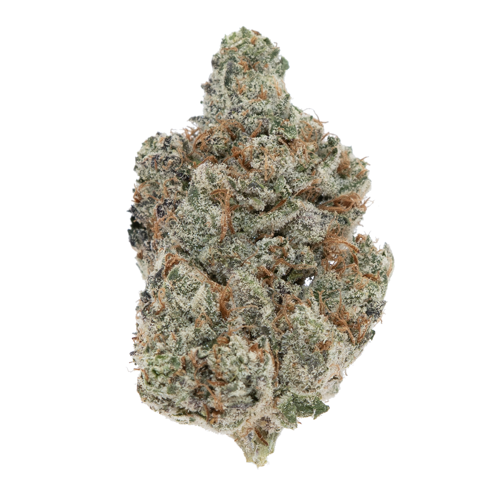 WHITE TRUFFLES [TOP SHELF] THCA FLOWER (3.5 GRAMS)