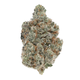 WHITE TRUFFLES THCA FLOWER
