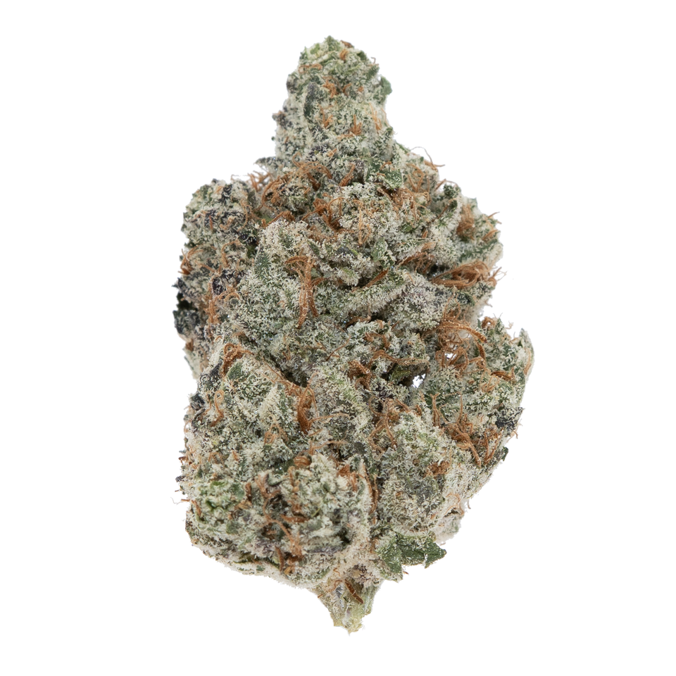 WHITE TRUFFLES THCA FLOWER